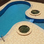 Rashidya Villa Pool Pic - 2